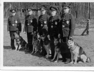 1946 - Polizeiwachtmeister Hülsmeier (1. v. r.) mit Diensthund “Ex von Bollingwalde“ Polizeiarchiv Delmenhorst